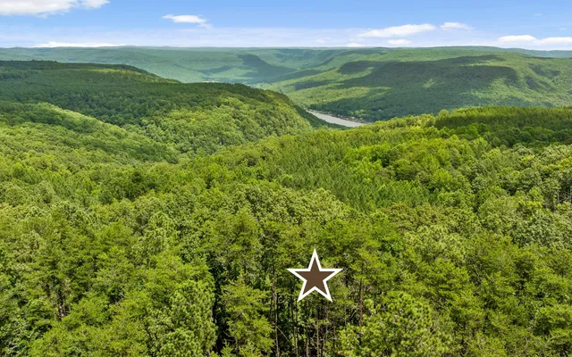 $325,000 | Lot 1205 Big View Road, Guild, TN 37340