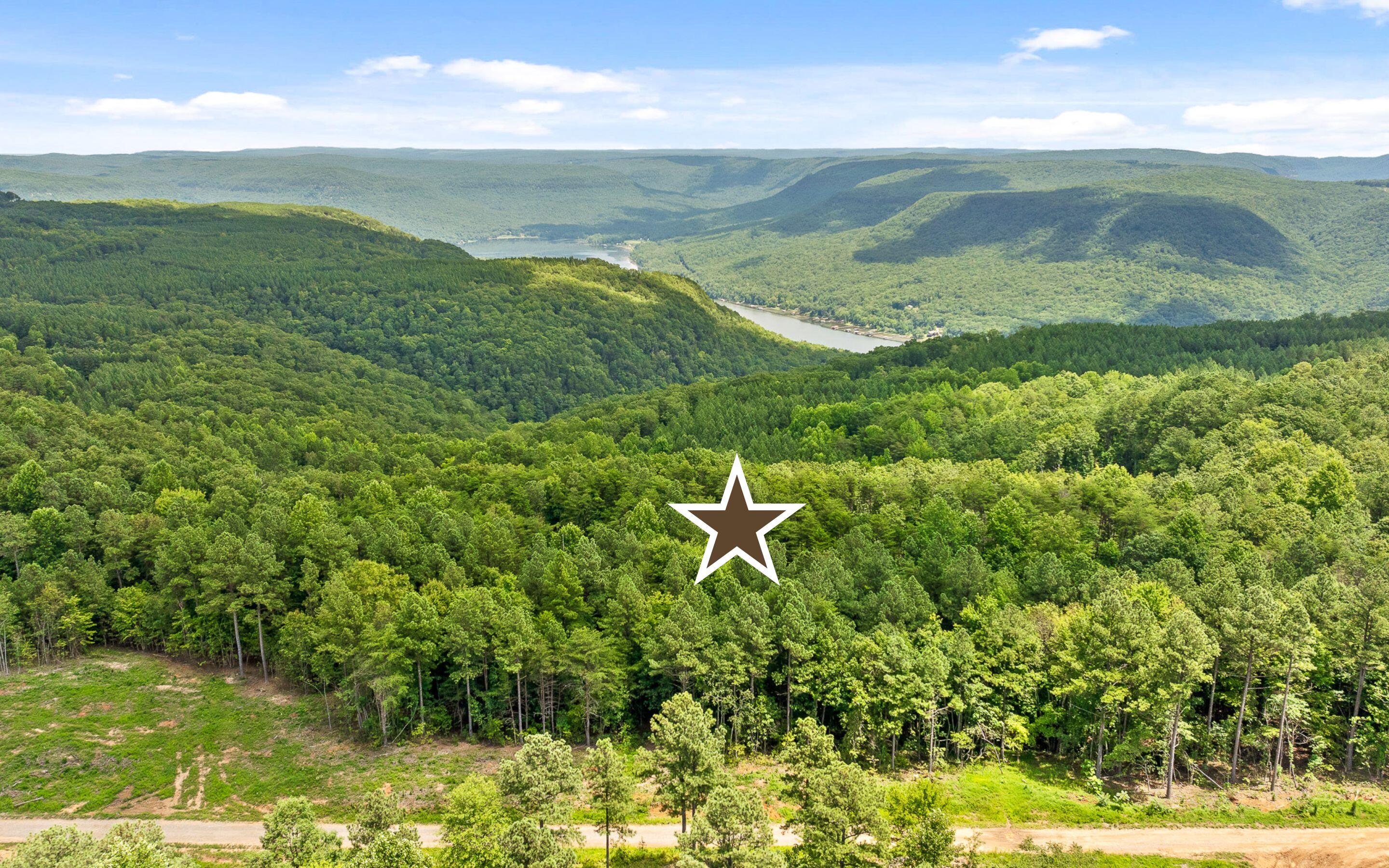 Lot 1205 Big View Road Guild, TN 37340 - Photo 10 of 21 Imagine Sunrises and Sunsets