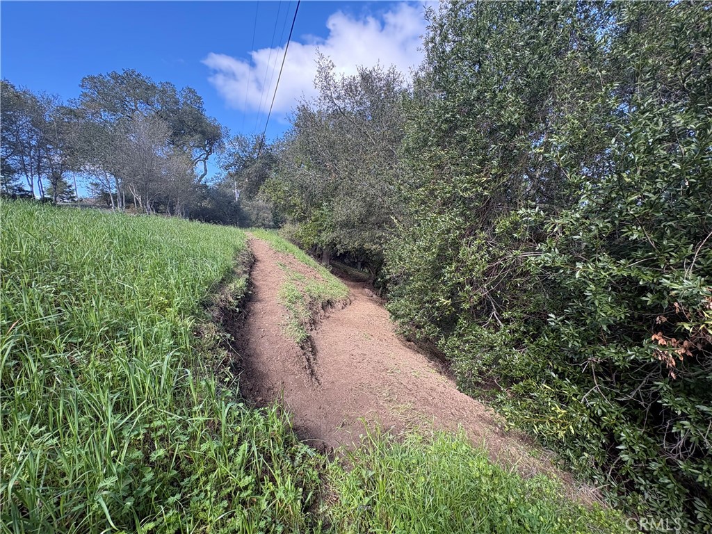 12000 San Marcos Road Atascadero, CA 93422 - Photo 11 of 20 a view of a yard with a tree