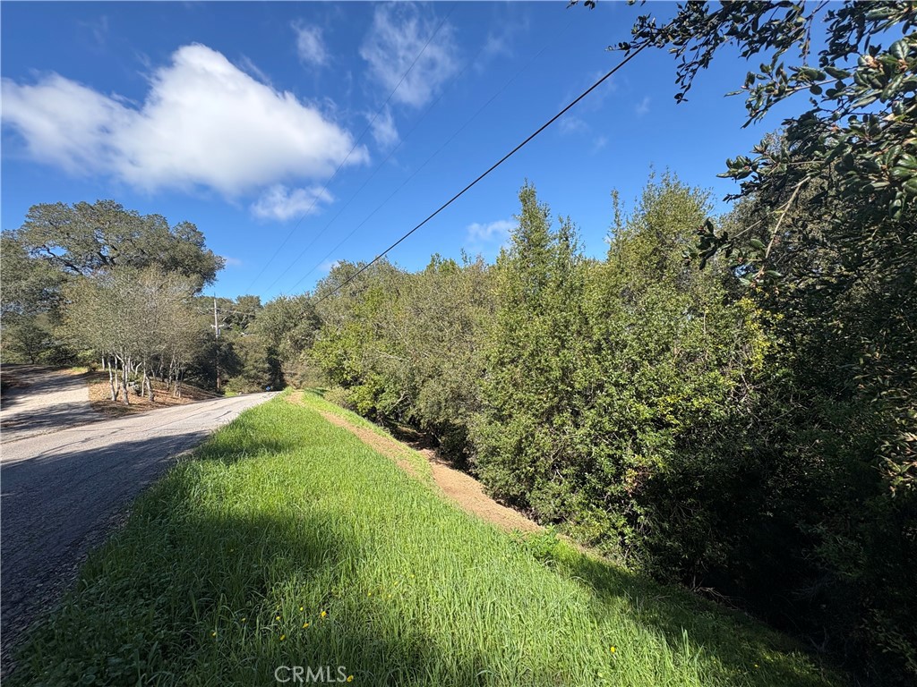 12000 San Marcos Road Atascadero, CA 93422 - Photo 12 of 20 a backyard of a house with lots of green space