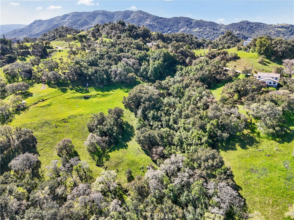 12000 San Marcos Road Atascadero, CA 93422 - Photo 18 of 20 a view of a lush green hillside and houses