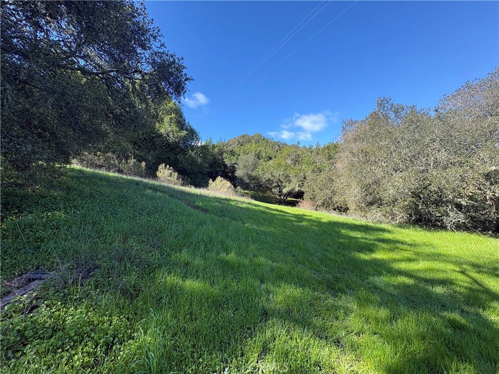 12000 San Marcos Road Atascadero, CA 93422 - Photo 3 of 20 a view of a grassy field with trees in the background