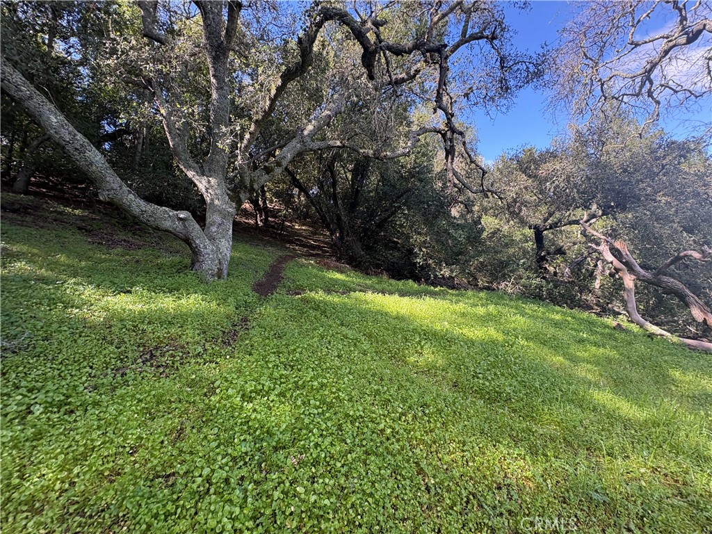 12000 San Marcos Road Atascadero, CA 93422 - Photo 6 of 20 a view of yard with green space