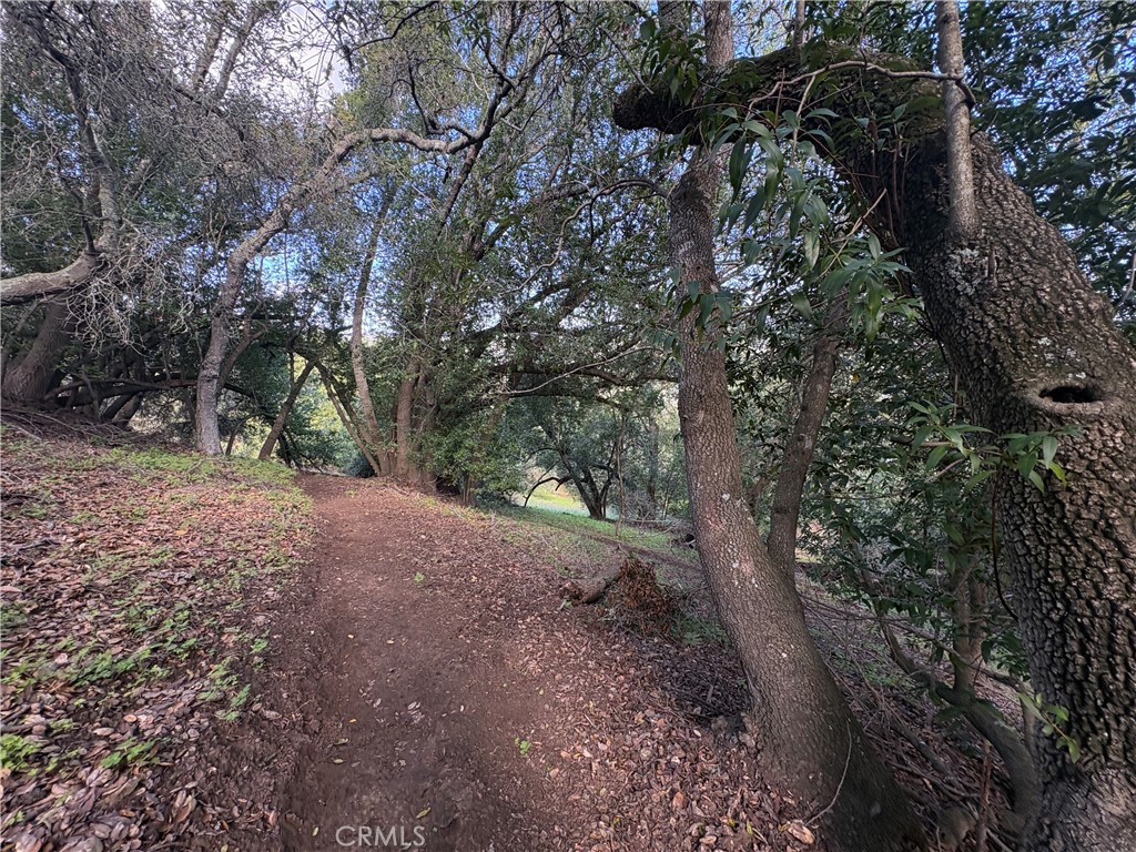 12000 San Marcos Road Atascadero, CA 93422 - Photo 10 of 20 a view of outdoor space and trees