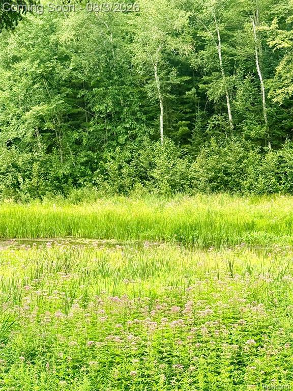 2830 River Ridge Road Alger, MI 48610 - Photo 29 of 32 Gallery Image 29