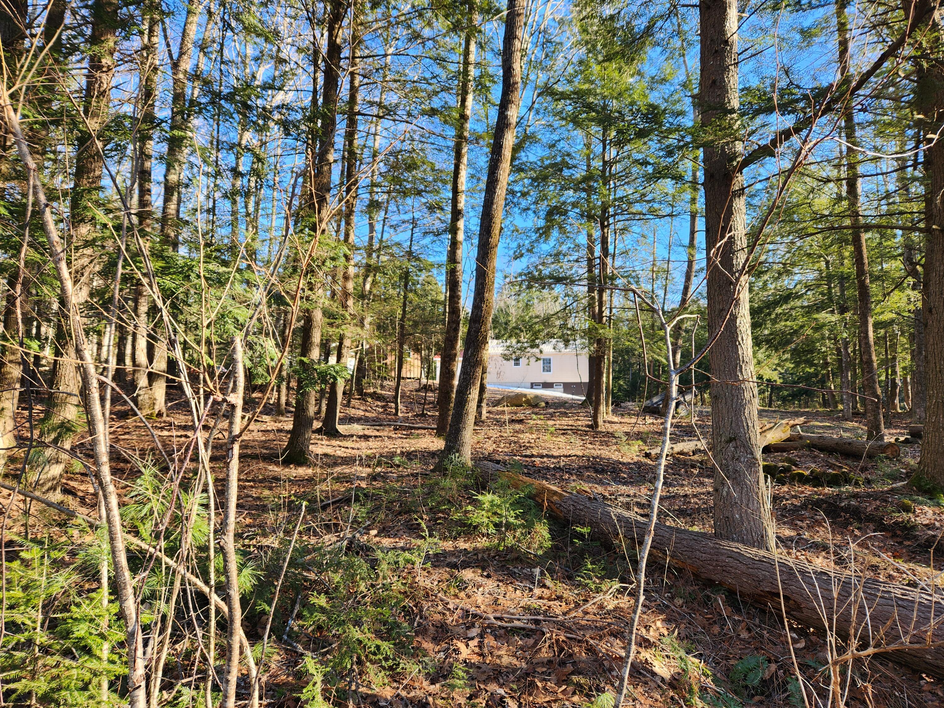 55 A A To Z Road Greene, ME 04236 - Photo 47 of 54 20240308_152243