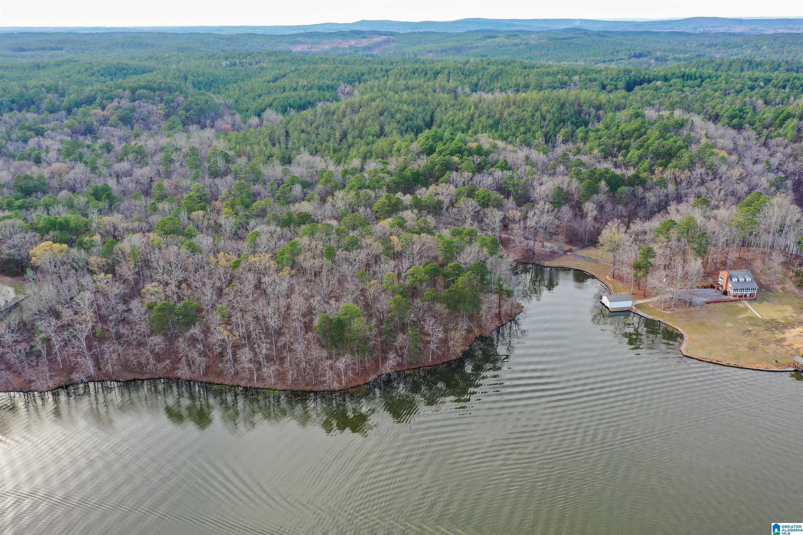 South River Road, Unit LONG Shelby, AL 35143 - Photo 8 of 21