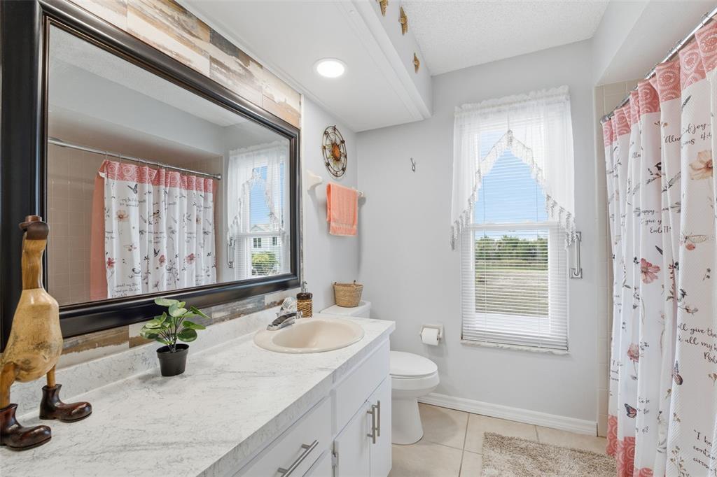 3366 Bluefish Drive Hernando Beach, FL 34607 - Photo 18 of 75 a bathroom with a granite countertop sink a toilet a mirror and shower