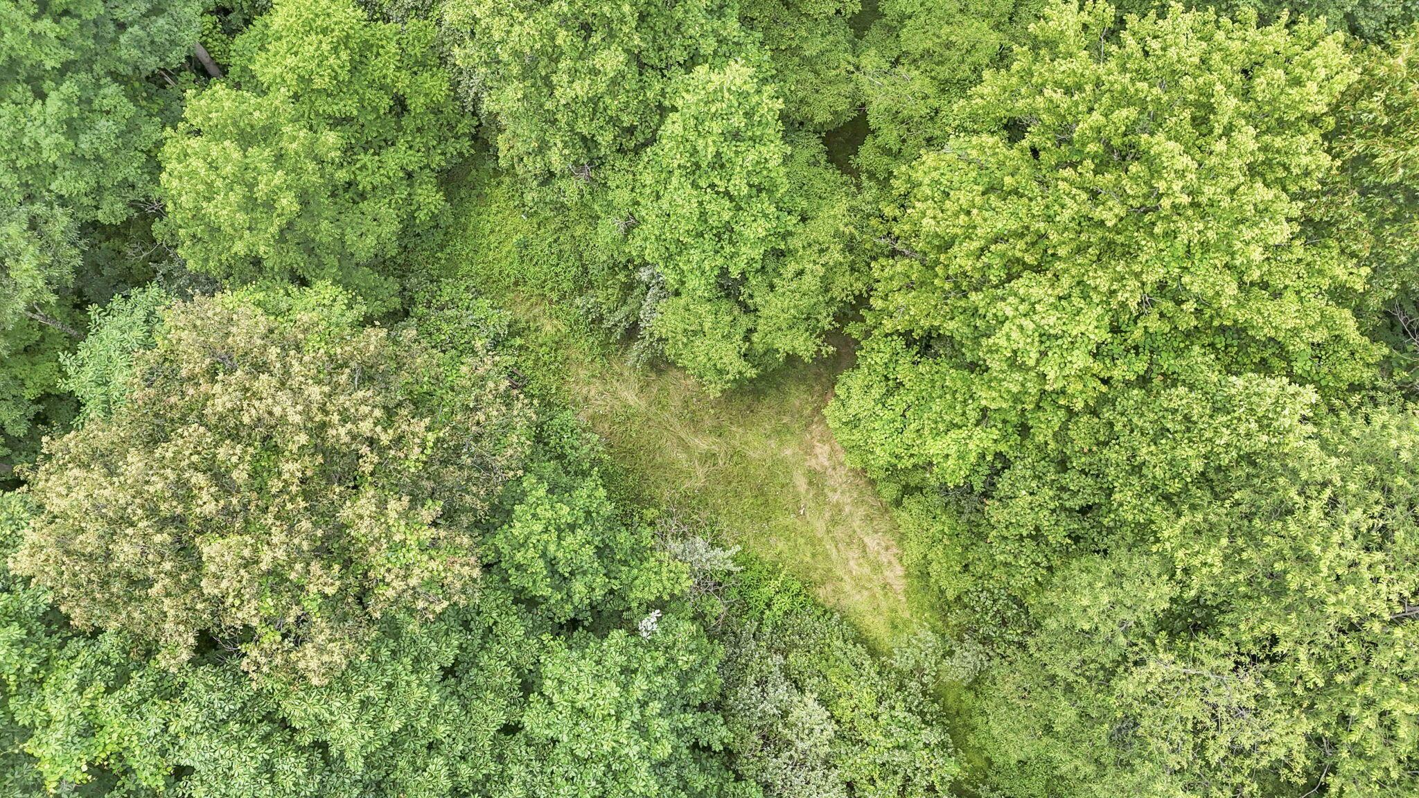 16749 Mush Run Road Athens, OH 45701 - Photo 36 of 37 55-web-or-mls-DJI_20260622133252_0790_D