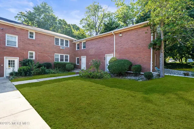 a view of a backyard with plants and large tree