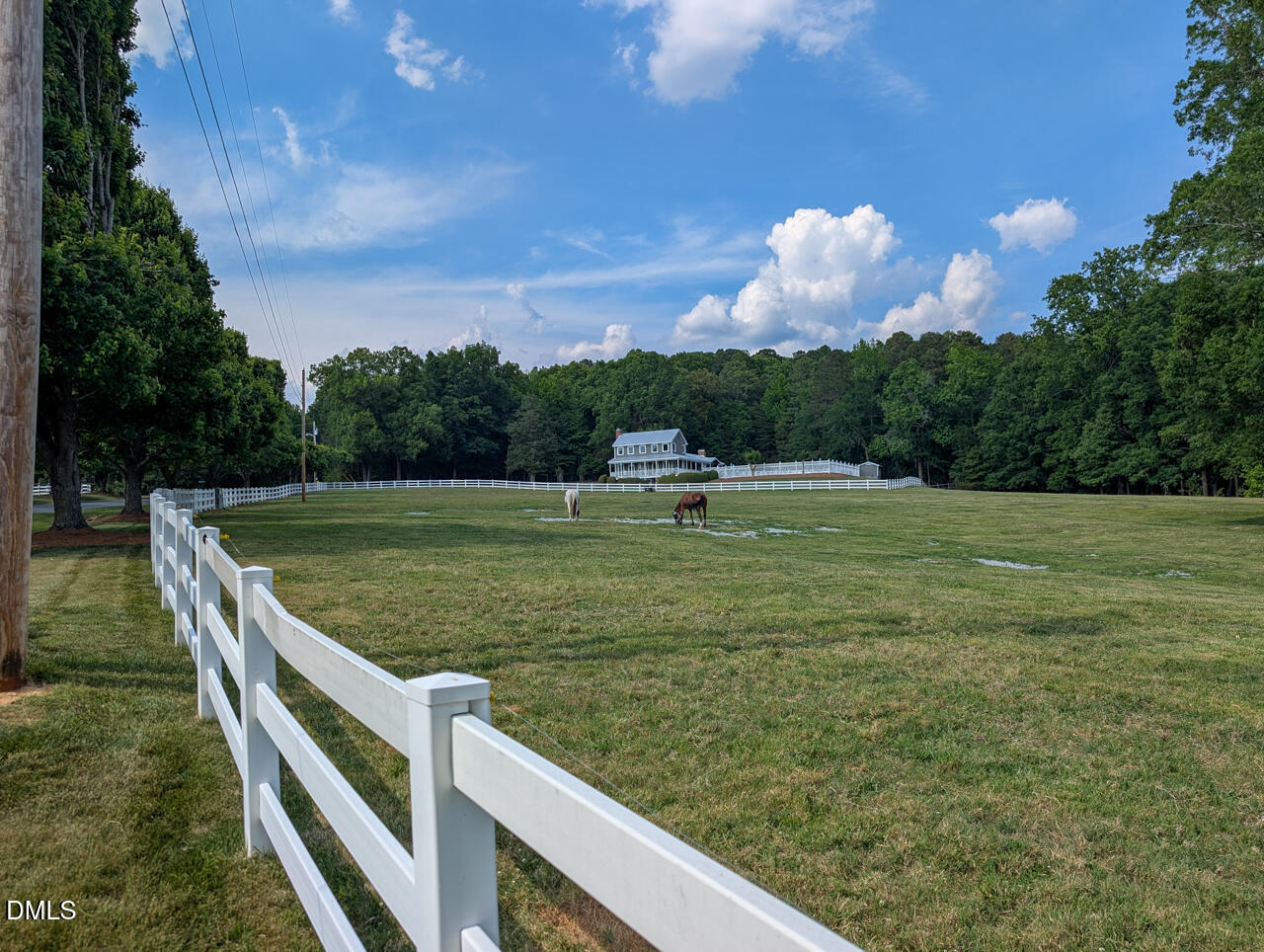 405 Lookout Point Rougemont, NC 27572 - Photo 58 of 62