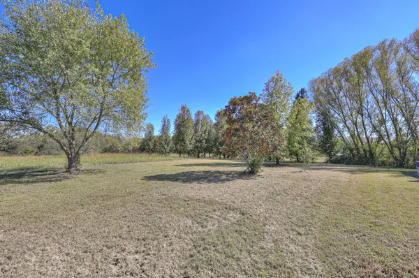 a view of dirt field with large trees