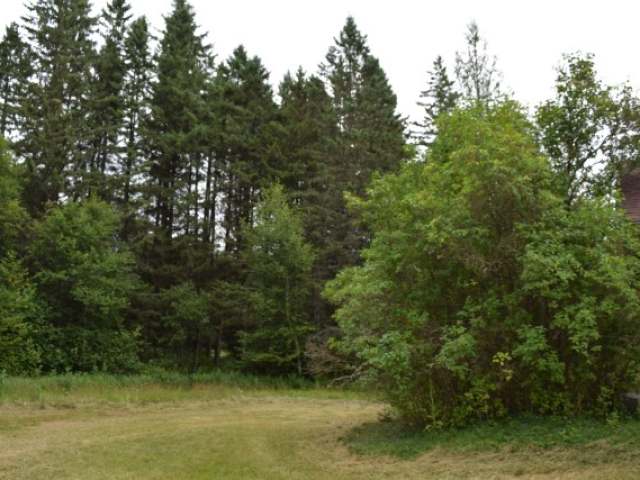 5061 Hixon Lake Road Rhinelander, WI 54501 - Photo 20 of 20 Gallery Image 20
