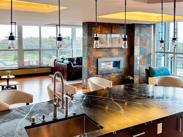 625 North Segoe Road, Unit 903 Madison, WI 53705 - Photo 1 of 31