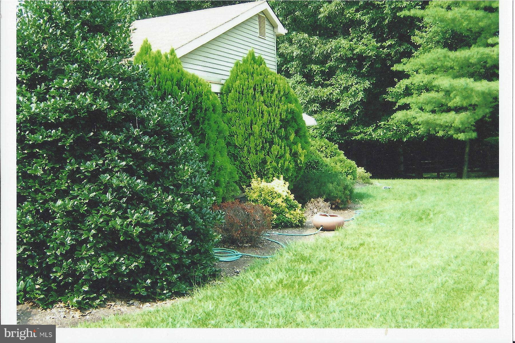 2553 Golfers Ridge Road Annapolis, MD 21401 - Photo 22 of 29 Side Yard in Spring