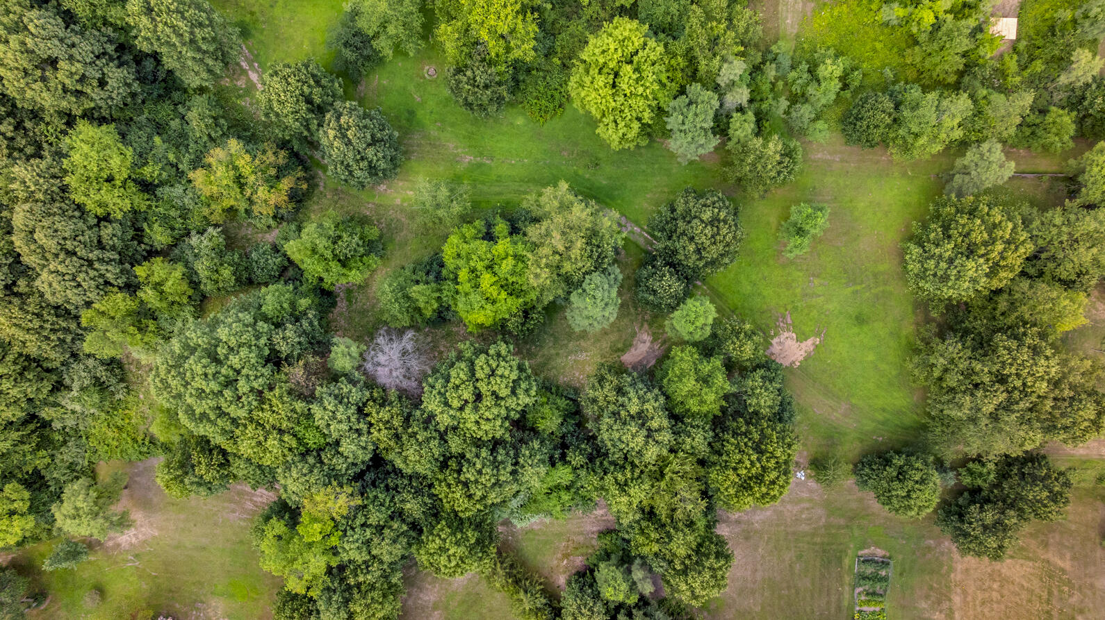 0 South Sutton Road Jackson, MI 49203 - Photo 10 of 14 DJI_20250812102422_0564_D (2)