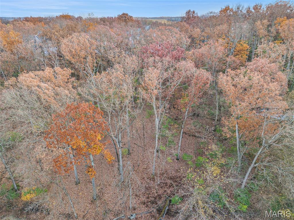 44 Mombert Drive Ballwin, MO 63021 - Photo 2 of 5