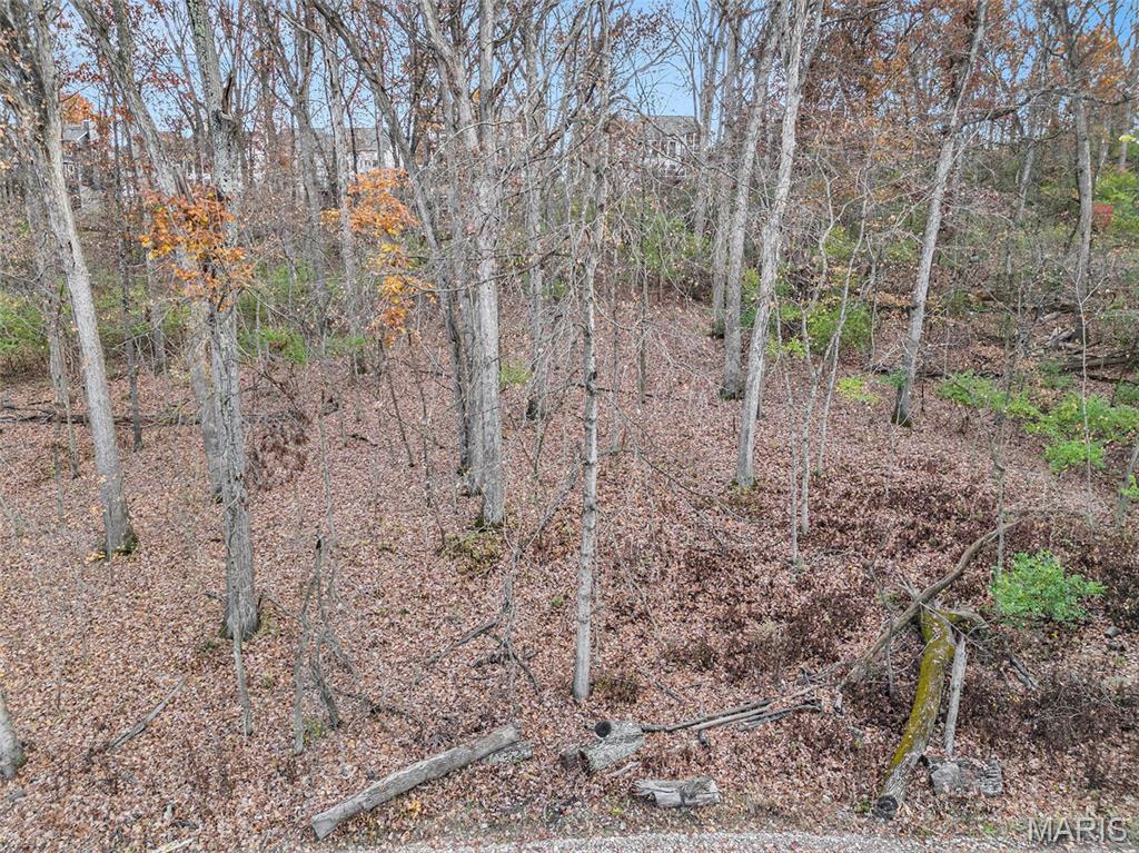 44 Mombert Drive Ballwin, MO 63021 - Photo 3 of 5