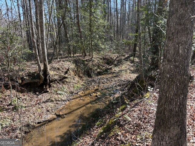 343 Hank Fry Road Clarkesville, GA 30523 - Photo 6 of 25 Gallery Image 6