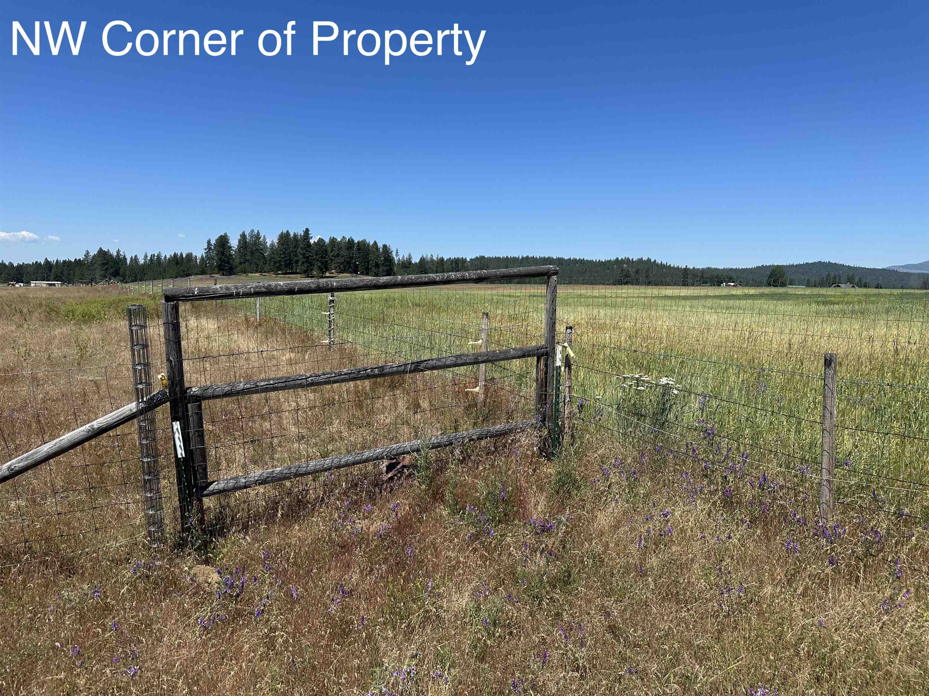 5717 East Oregon Road Elk, WA 99009 - Photo 44 of 50