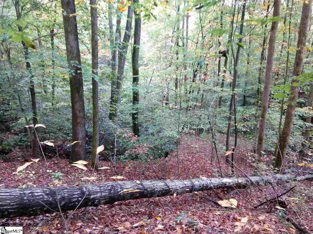 0 River Road Marietta, SC 29661 - Photo 21 of 30 Gallery Image 21
