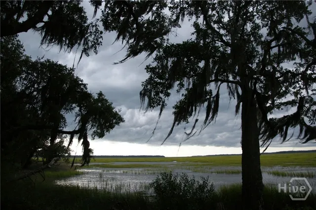 $23,000 | Lot 503 Northeast Marsh Hen, Townsend, GA 31331