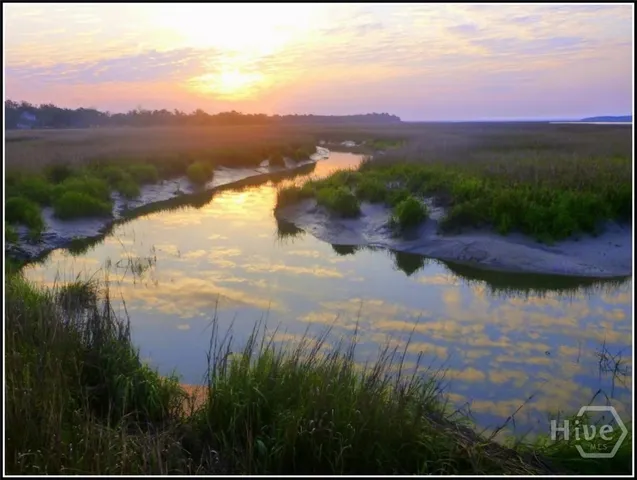 $23,000 | Lot 503 Northeast Marsh Hen, Townsend, GA 31331