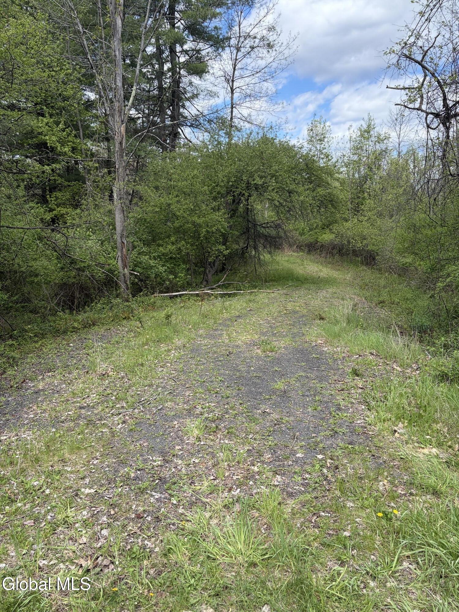 676 Knickerbocker Road Schaghticoke, NY 12154 - Photo 9 of 9 IMG_0237
