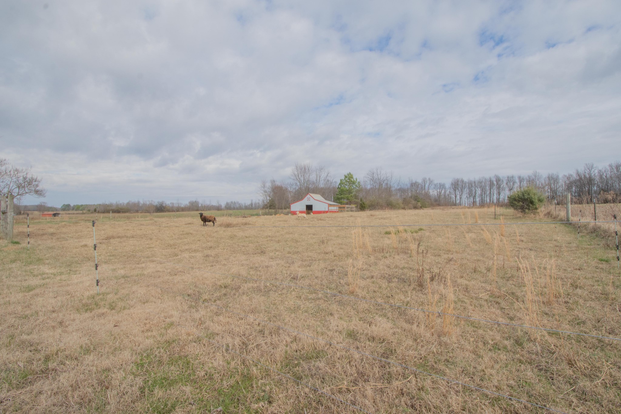 3750 Fall River Road Pulaski, TN 38478 - Photo 29 of 36 Gallery Image 29