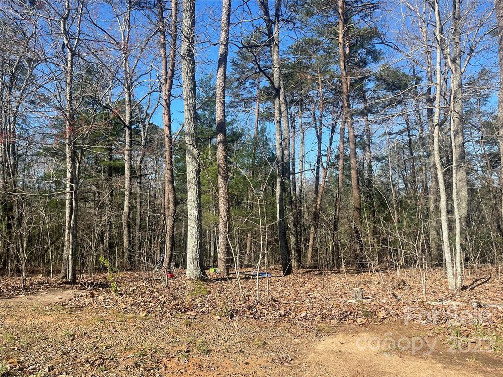 7400 R R H Road Hickory, NC 28602 - Photo 25 of 30 a backyard of a house with lots of green space