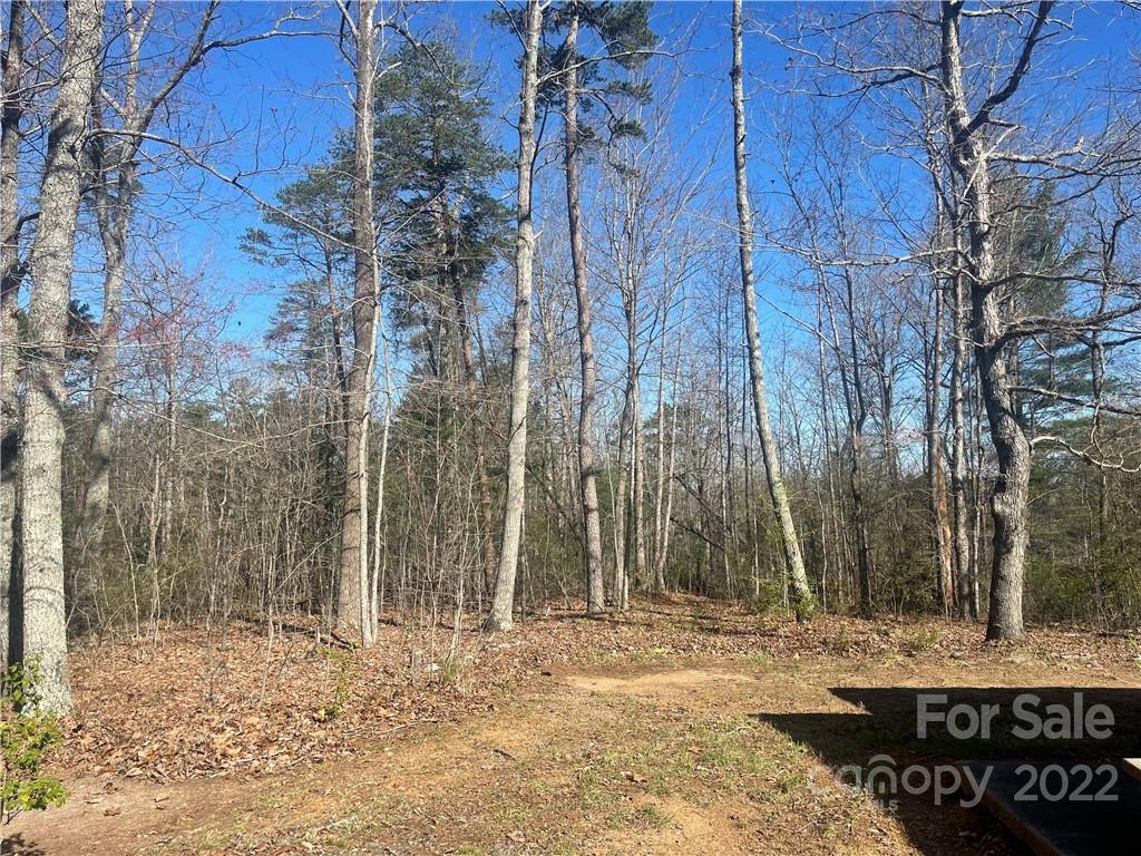 7400 R R H Road Hickory, NC 28602 - Photo 27 of 30 a view of a pathway next to a yard