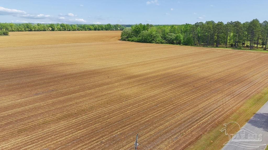 3 B Mineral Springs Road Jay, FL 32565 - Photo 4 of 22