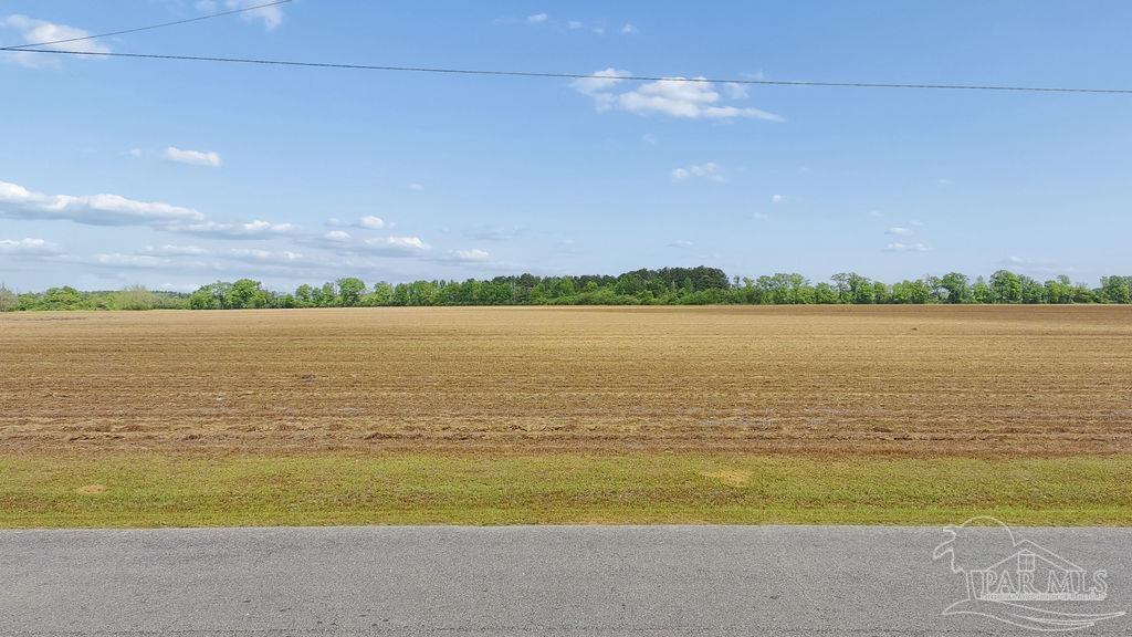 3 B Mineral Springs Road Jay, FL 32565 - Photo 9 of 22