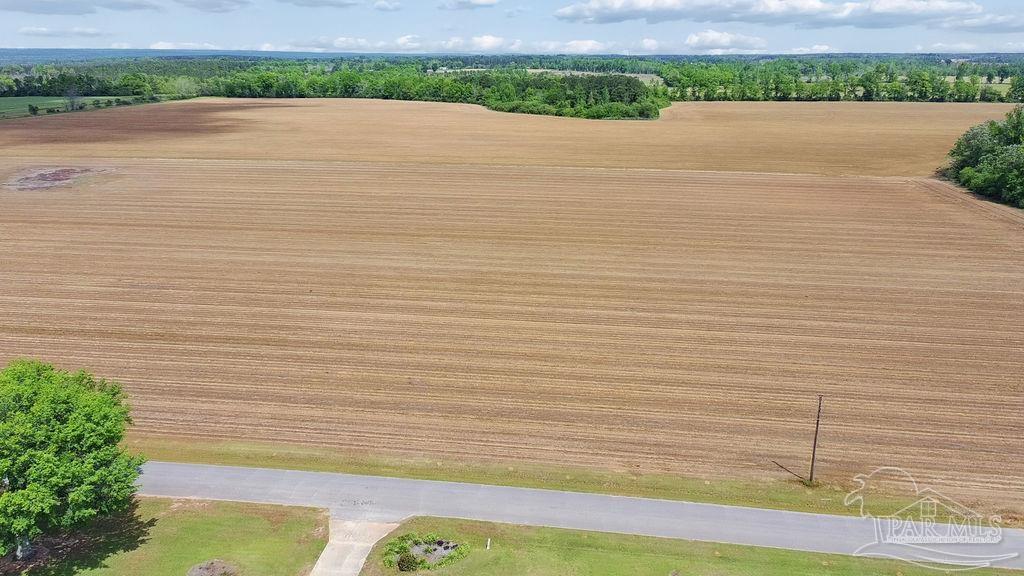 3 B Mineral Springs Road Jay, FL 32565 - Photo 10 of 22