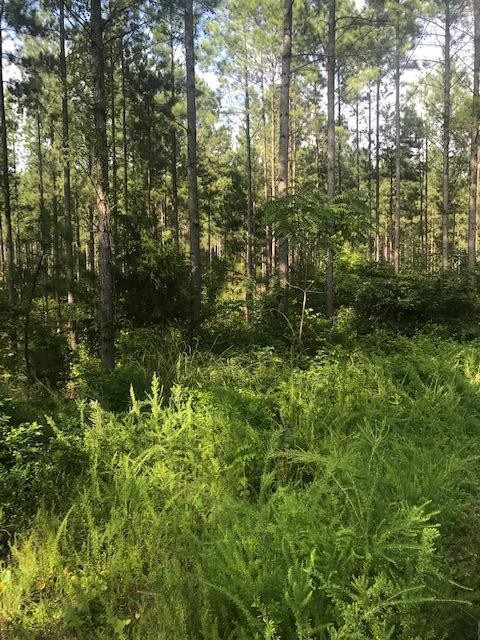 17 Armstrong Ferry Road Decatur, TN 37322 - Photo 6 of 20