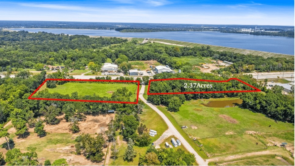 a view of a garden with an outdoor space