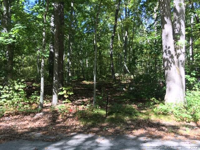 0 Costello Road Brooklyn, CT 06234 - Photo 1 of 1 a view of tree