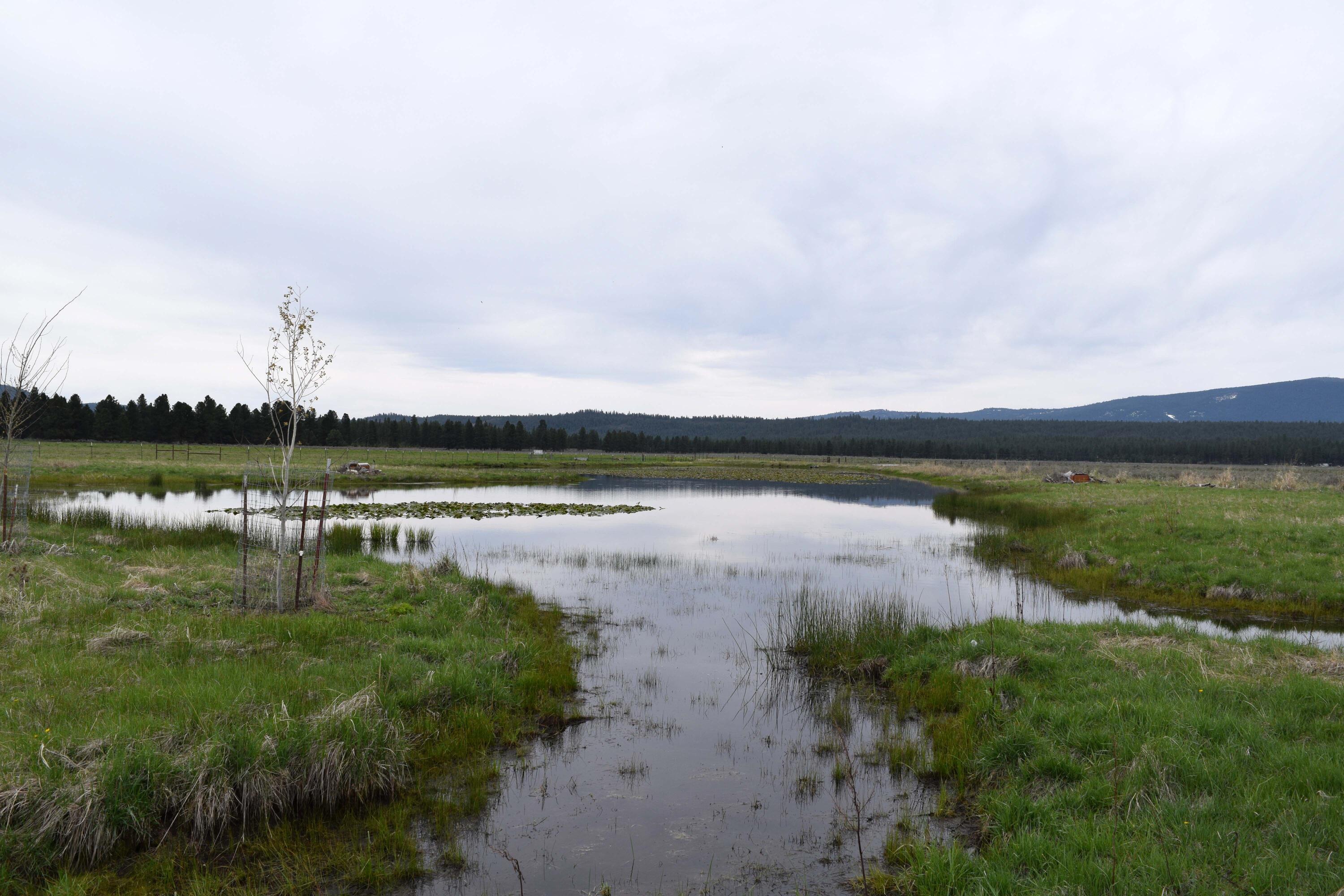Skeen Ranch Road Chiloquin, OR 97624 - Photo 19 of 26 pond duck blinds oregon four j ranch