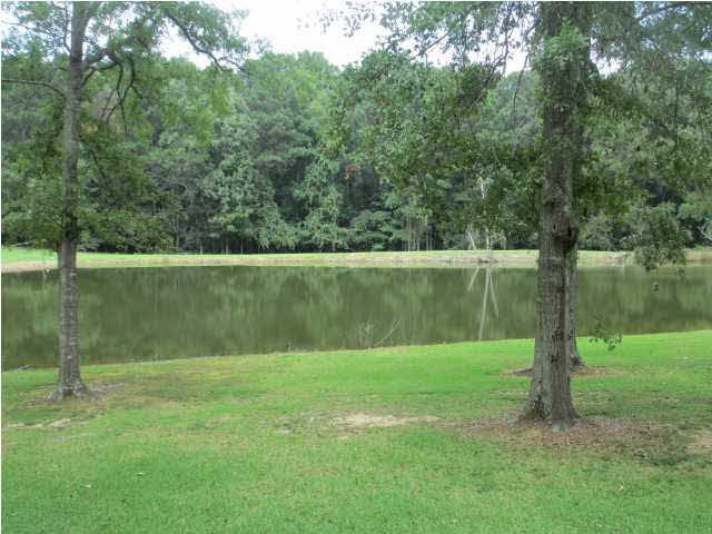 1179 West Parks Road Raymond, MS 39154 - Photo 28 of 30 Pond View