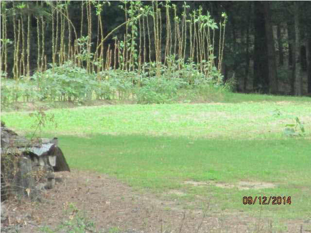 1179 West Parks Road Raymond, MS 39154 - Photo 30 of 30 View of designated garden area