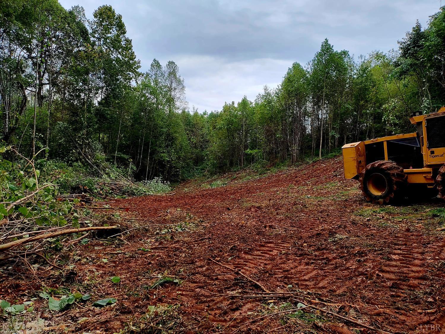0 Forest Road Forest, VA 24502 - Photo 6 of 12 a view of backyard with wooden fence