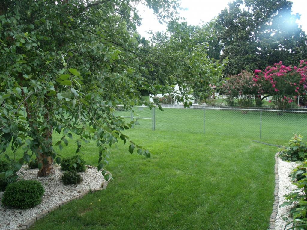 112 Spruce Street Greeneville, TN 37745 - Photo 12 of 36 Photo 12