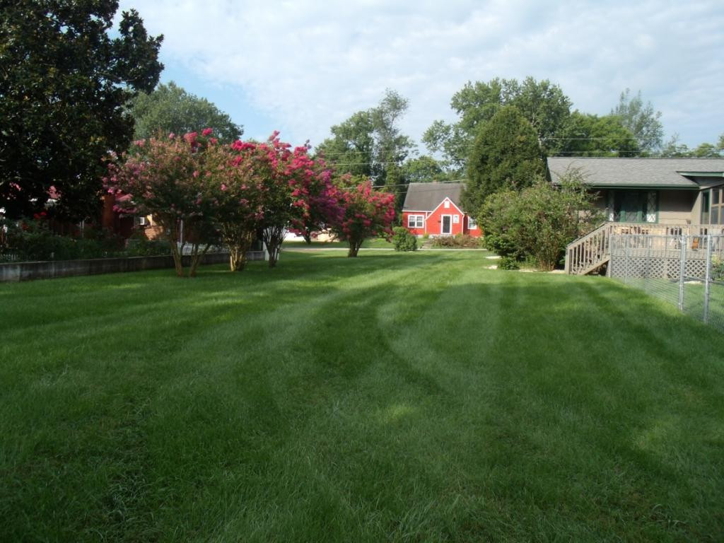 112 Spruce Street Greeneville, TN 37745 - Photo 6 of 36 Photo 6