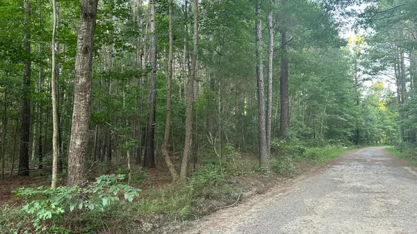 $80,000 | 0 Pearl Acrs Lane, Huger, SC 29450