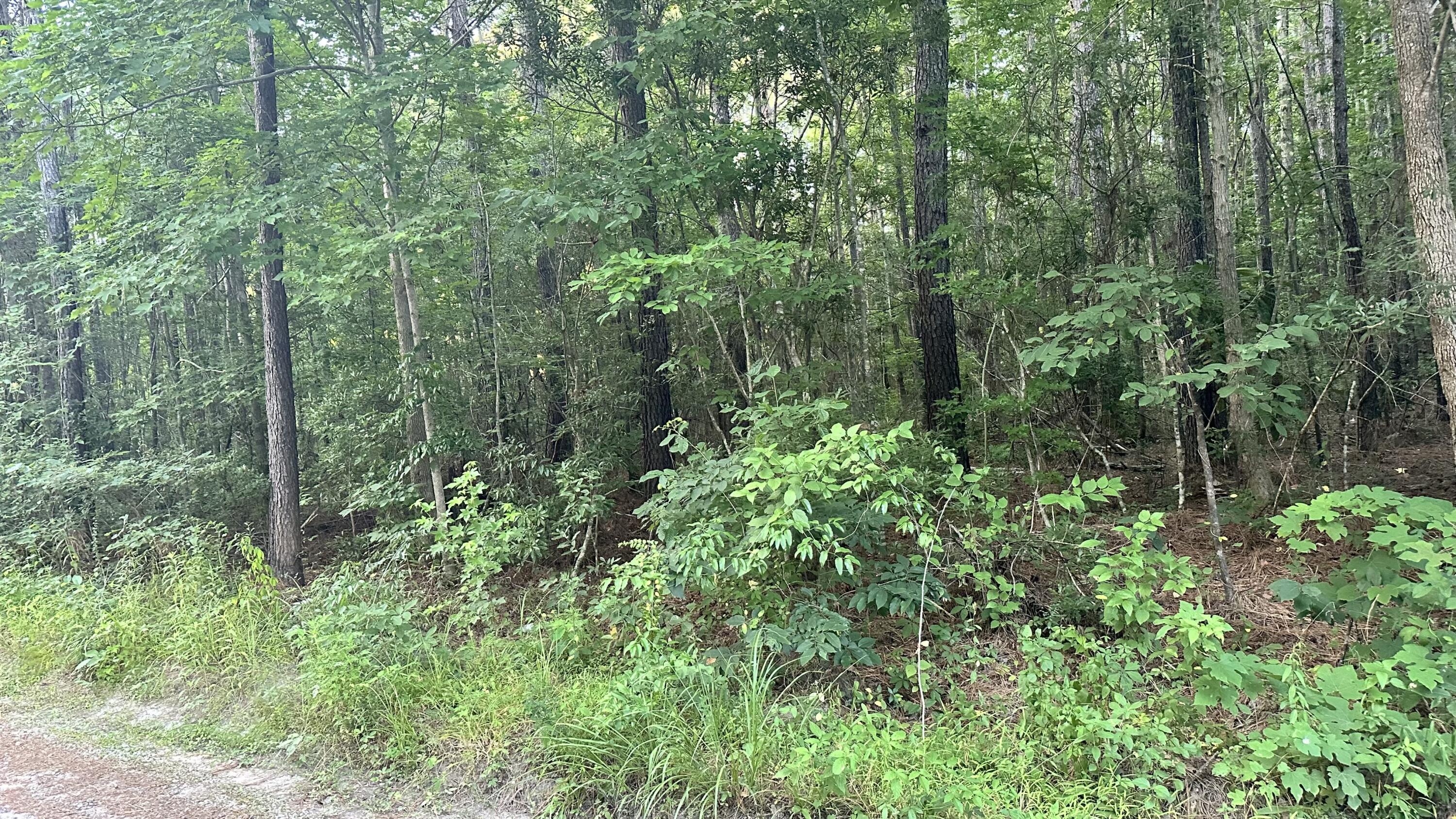 0 Pearl Acrs Lane Huger, SC 29450 - Photo 4 of 6 IMG_4774