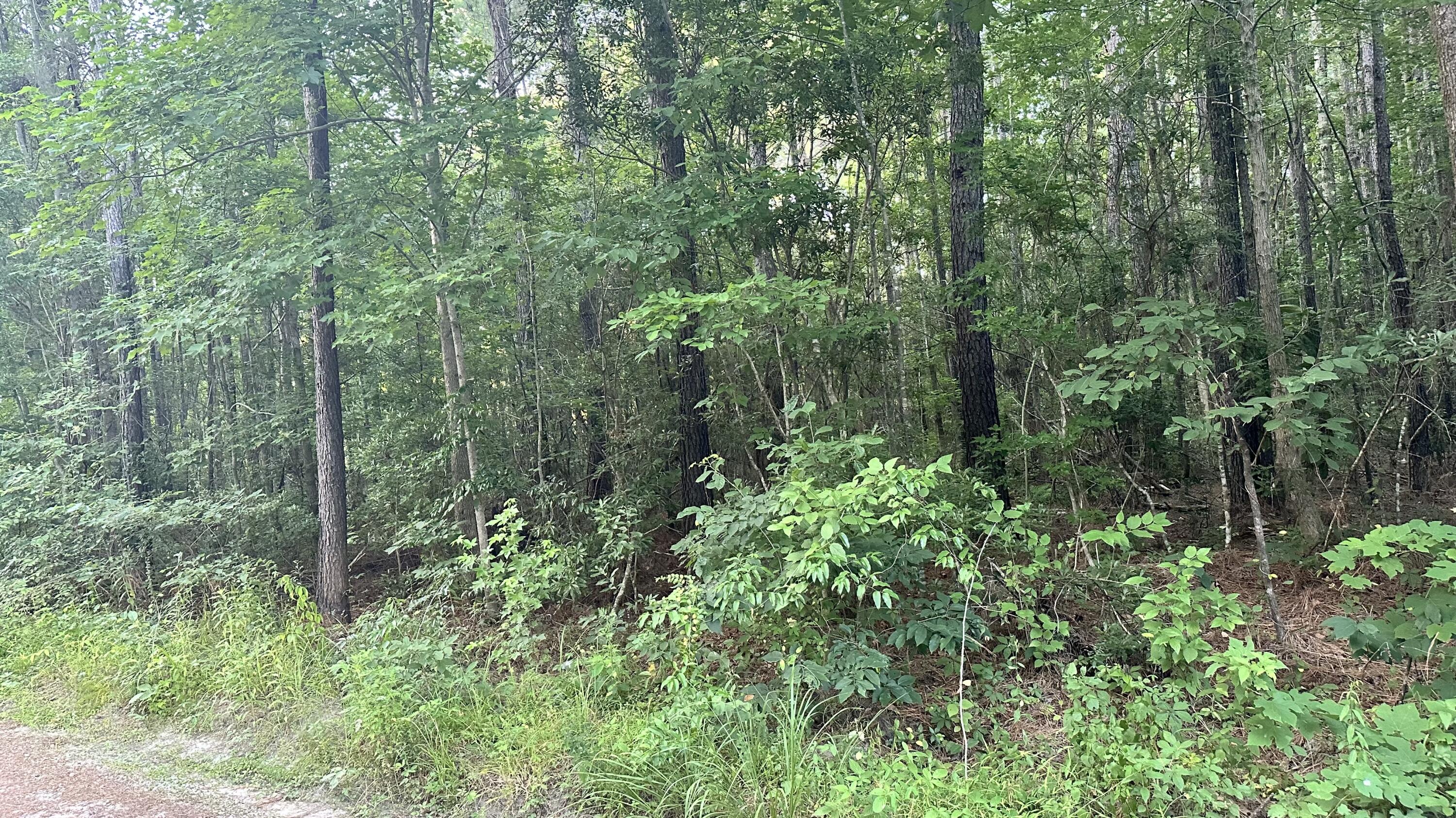 0 Pearl Acrs Lane Huger, SC 29450 - Photo 6 of 6 IMG_4772