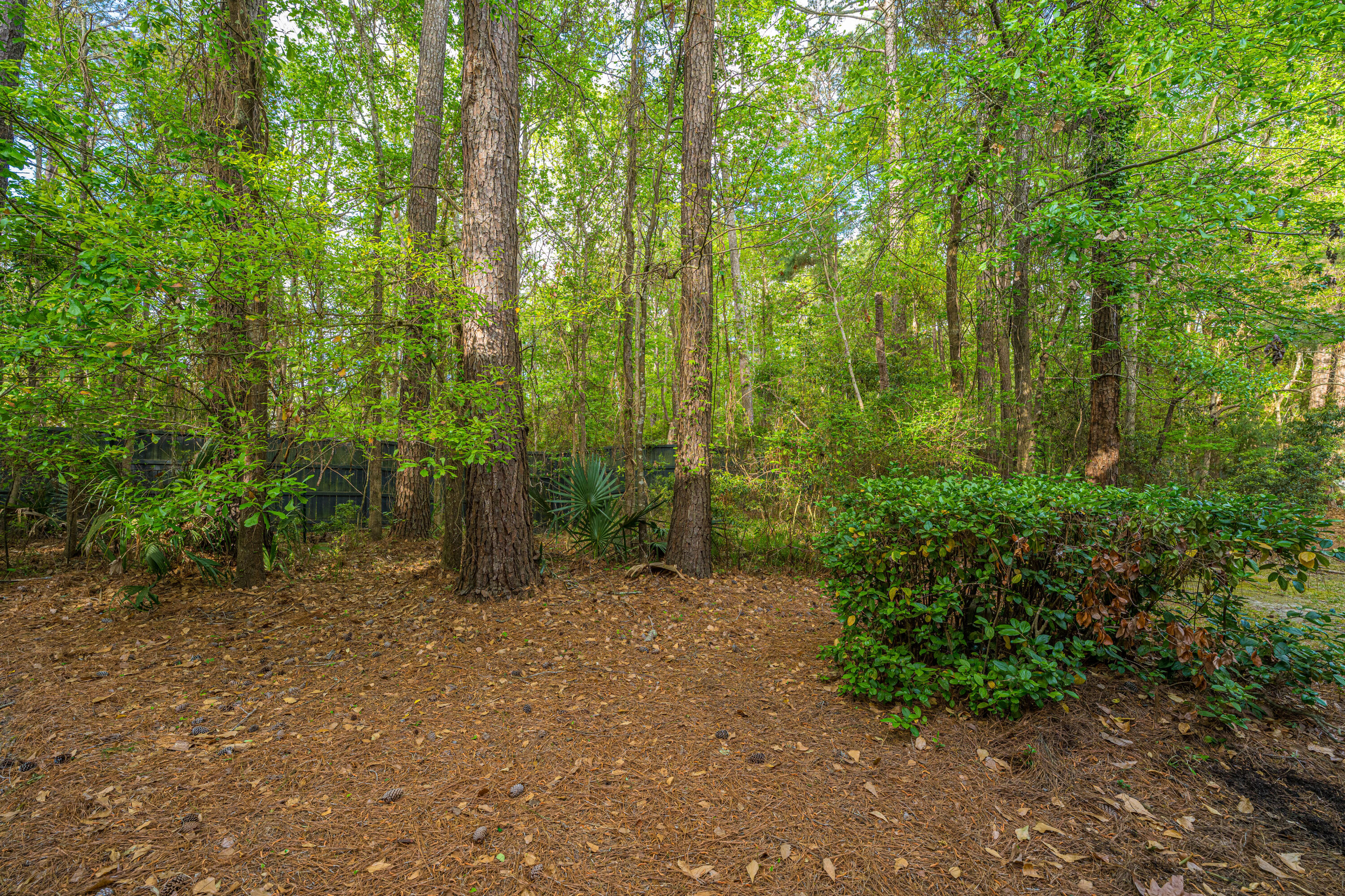 264 Fair Sailing Road, Unit 42 Mount Pleasant, SC 29466 - Photo 35 of 43