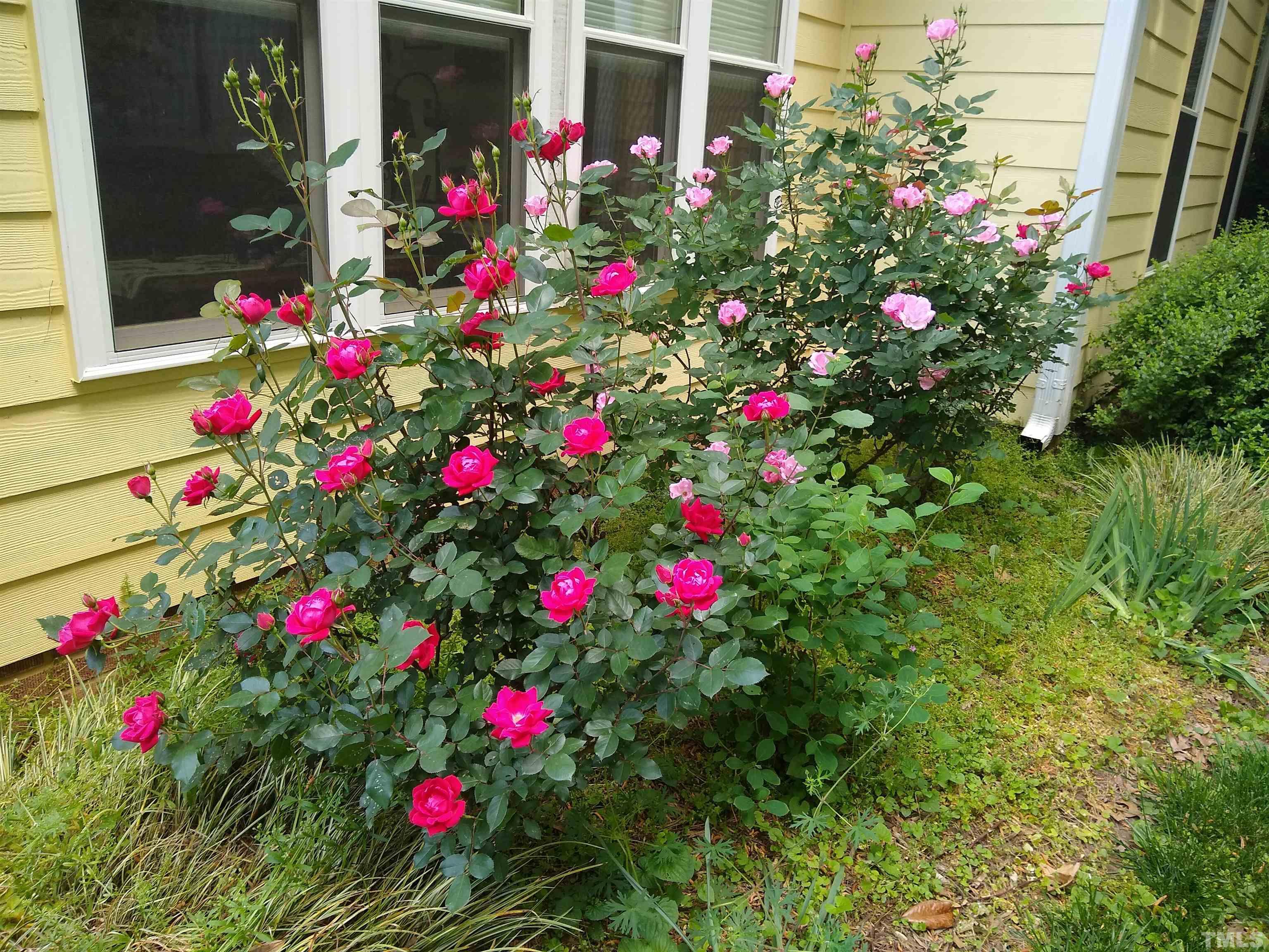 1413 Ashburton Road Raleigh, NC 27606 - Photo 25 of 27