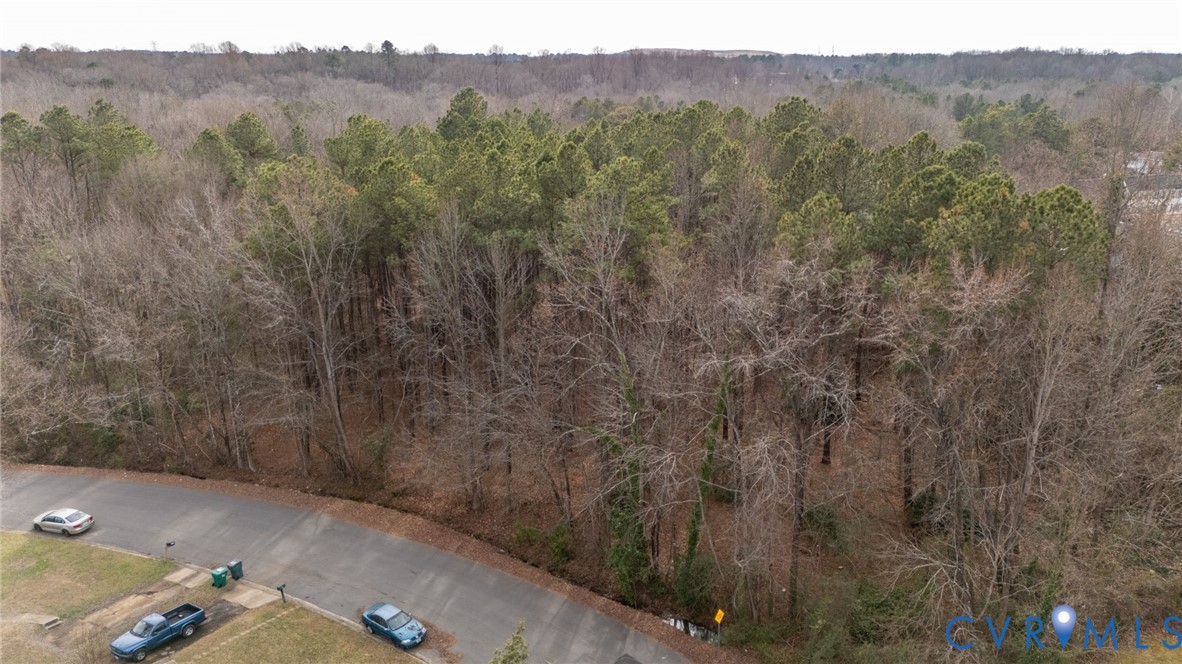 730 East Foxhill Road Richmond, VA 23223 - Photo 5 of 11 a view of a mountain in the distance