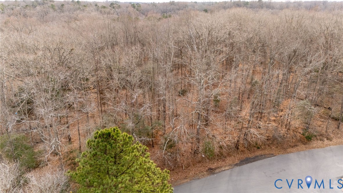 730 East Foxhill Road Richmond, VA 23223 - Photo 8 of 11 a view of a yard with plants and wooden wall